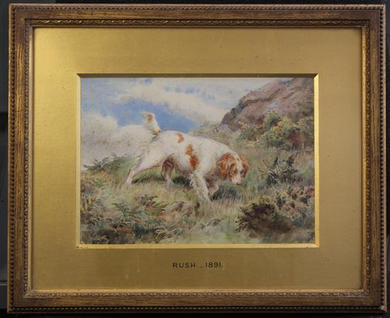 N H 1891 Study of a spaniel Rush on a hillside, 1891, 7 x 10in.